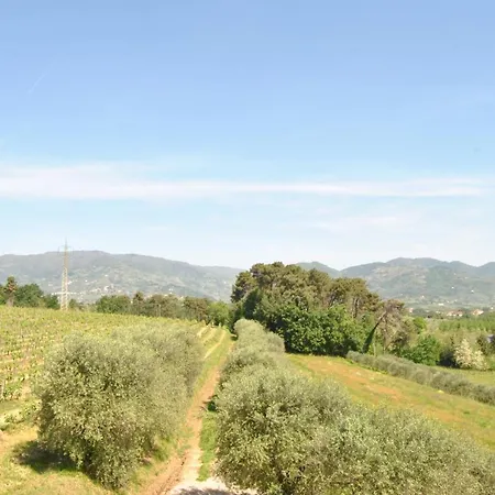 Da Lorena Vigna Del Greppo 公寓