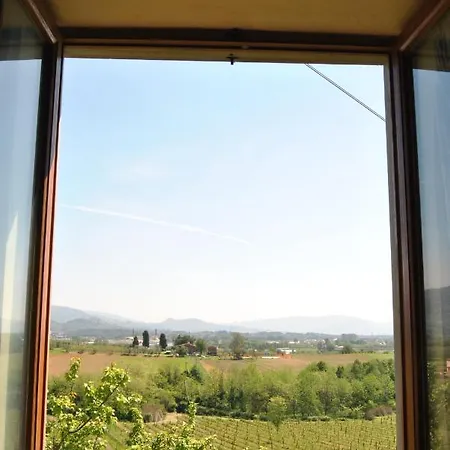 Da Lorena Vigna Del Greppo * San Piero in Campo (Tuscany)