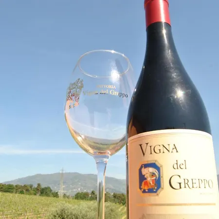 Da Lorena Vigna Del Greppo 公寓